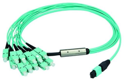 MPO Harness 12x2,1mm OM3 12LC MM 
