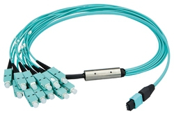MPO24 Harness MPO24m 2xMPO12m 5m 