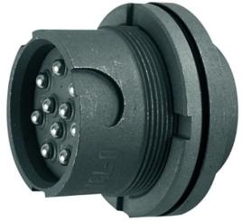 NF-GERÄTEBUCHSE 10-POLIG 