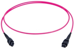 MPO24 Patchkabel female 1m 