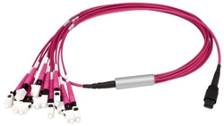 MPO24 Harness MPO24m 2xMPO12m 3m 