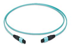 MPO24 Patchkabel female 5m 